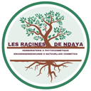 Les Racines de Ndaya